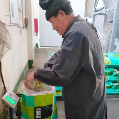 pulvérin sain de sang d'additifs d'aliments pour chiens d'alimentation de volaille 30kg