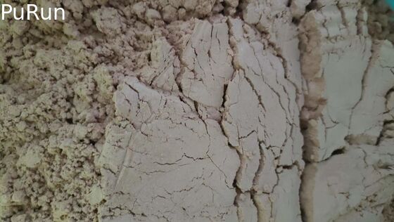Fabricants Duck Plasma Protein Powder séché au vaporisateur, technologie transformatrice avancée, Hig instantané d'additifs d'alimentation de volaille