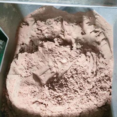 Protéine de bétail alimenter le repas de sang séché au vaporisateur de protéine de plasma pour la volaille