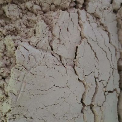 Le produit séché au vaporisateur de matière première Duck Plasma Protein Powder This de CompaniesFeed d'additifs d'alimentation est un Powde solide jaunâtre