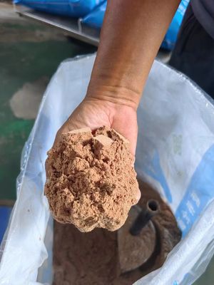 Additifs alimentaires pour animaux de compagnie riches en protéines pour chiens et nutrition sûre