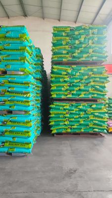 Serum animal séché par pulvérisation - jaune pâle formulé avec une odeur spéciale de produits sanguins