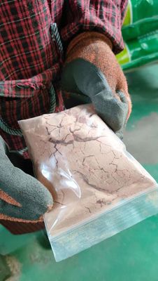 Salmonella non détectable Pulvérisation Plasma d' animal séché à l' odeur spéciale Des produits sanguins