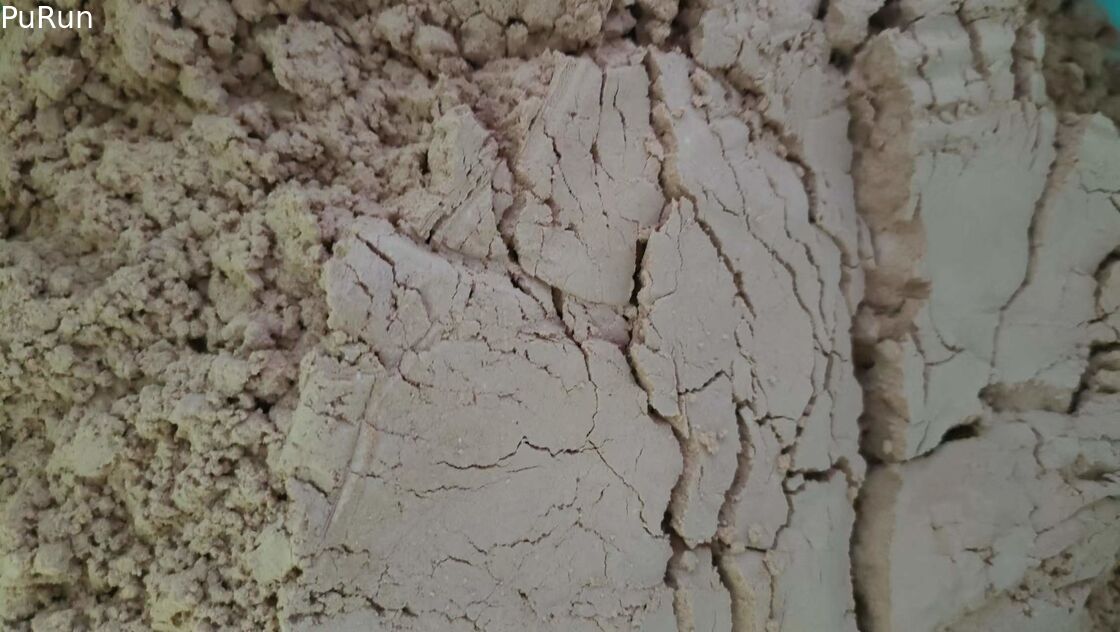 Fabricants Duck Plasma Protein Powder séché au vaporisateur, technologie transformatrice avancée, Hig instantané d'additifs d'alimentation de volaille