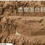 Fabricants Duck Plasma Protein Powder séché au vaporisateur, technologie transformatrice avancée, Hig instantané d'additifs d'alimentation de volaille