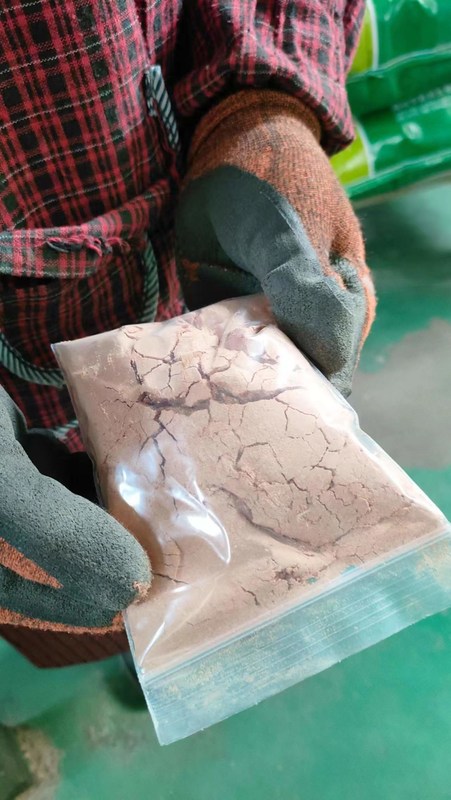 Salmonella non détectable Pulvérisation Plasma d' animal séché à l' odeur spéciale Des produits sanguins